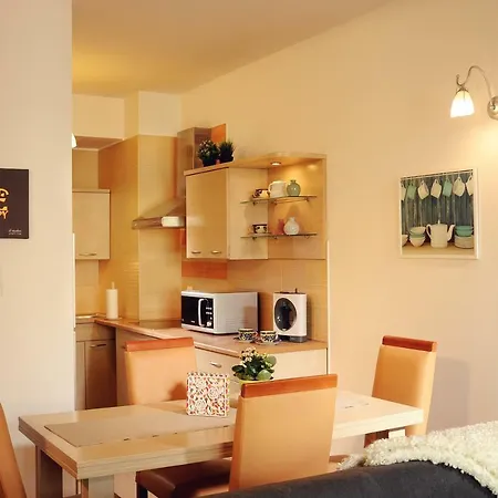 Old View Apartment